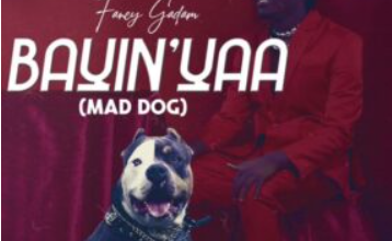Download: Fancy Gadam - Bayinyaa (Mad Dog)